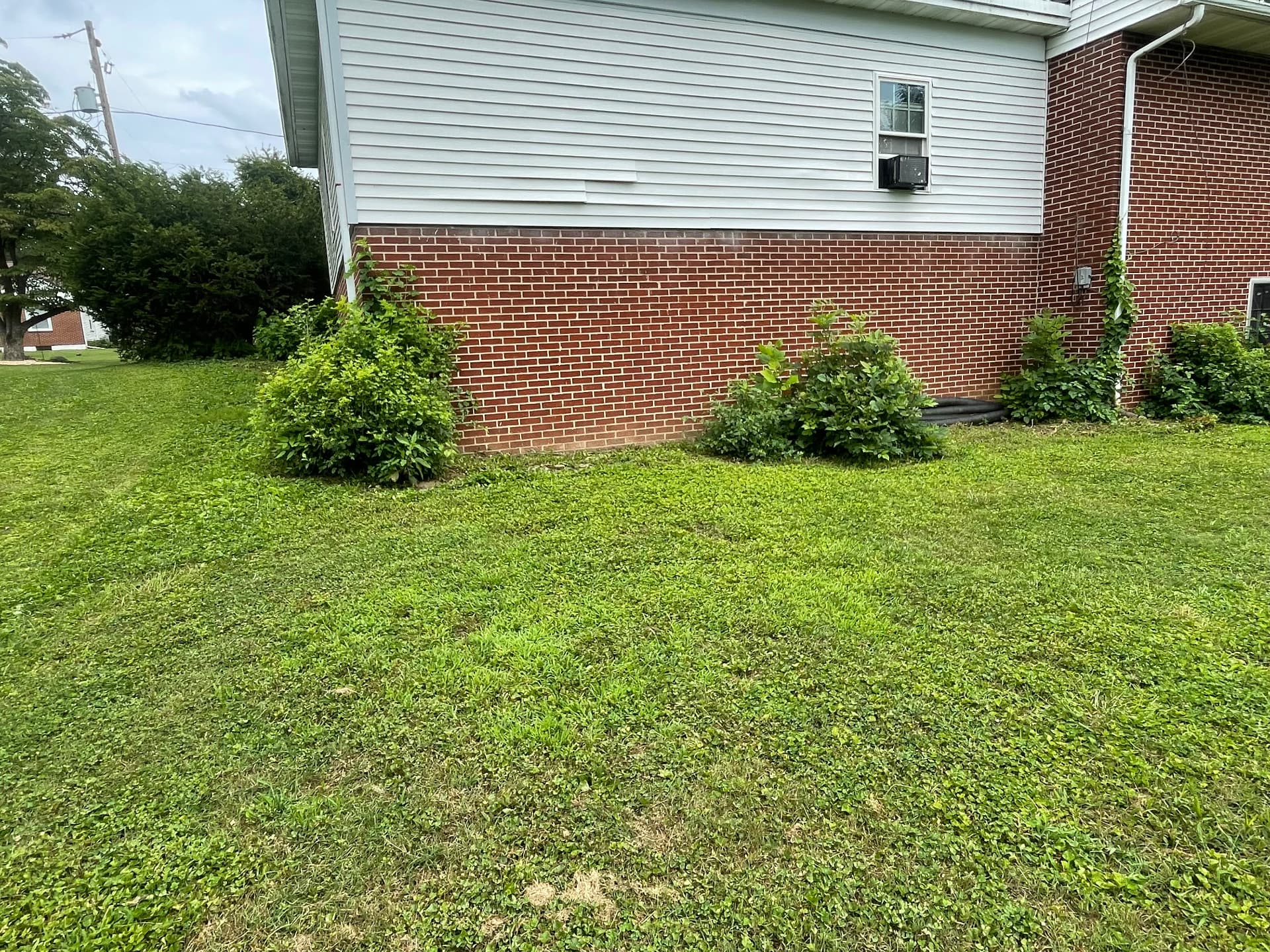Well-maintained residential lawn and foundation beds